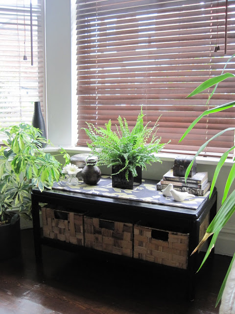 Cheap & Easy Before & After:  Coffee Table/Storage Unit