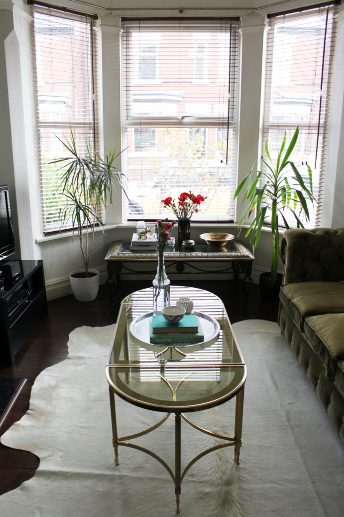 Animal Magnetism Part II:  Of Cowhide and Coffee Tables