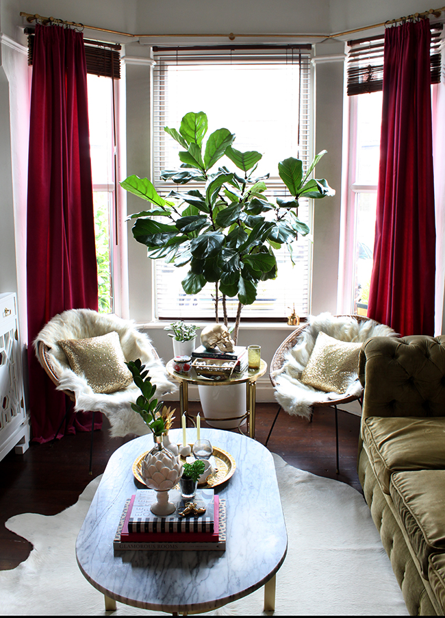 living room with vintage hoop chairs and fiddle leaf fig - see more at www.swoonworthy.co.uk