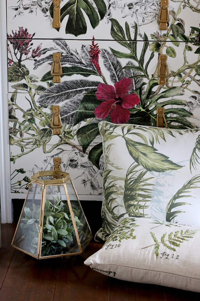 Sainsburys Botanical Range as styled by Swoon Worthy brass and glass box and cushions