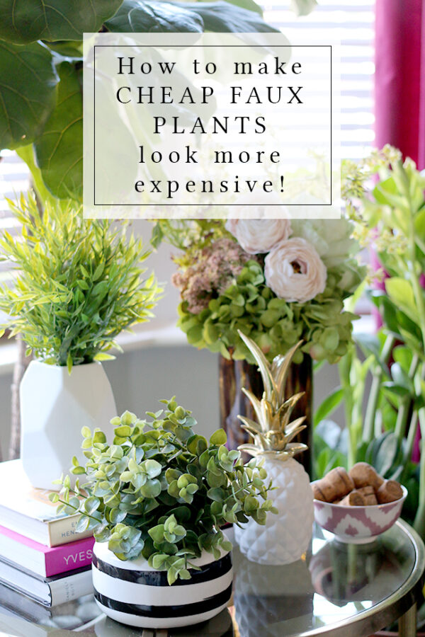 VIDEO How to Make Cheap Faux Plants Look More Expensive Swoon Worthy