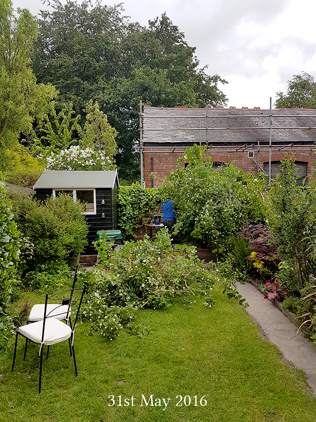 Back of the garden on 31 May 2016