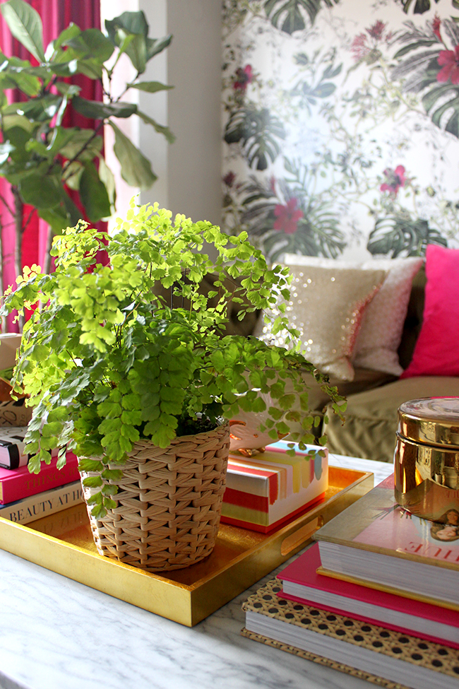 How to Style with Plants: Using Plants within a Vignette