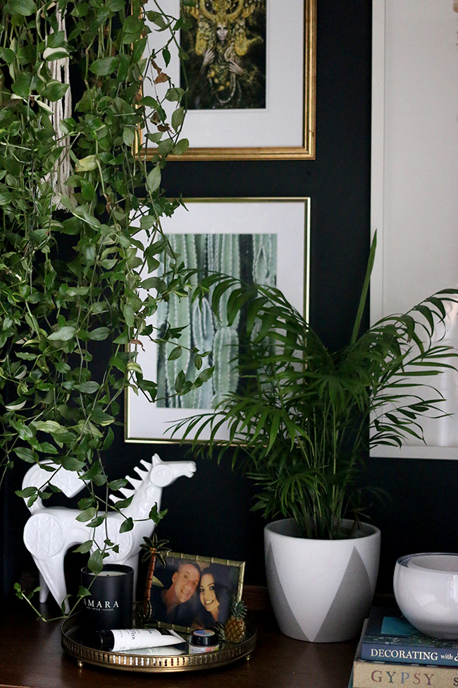How to Style with Plants - styling in groups