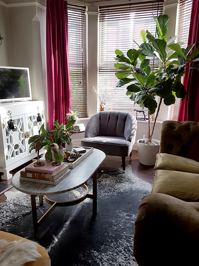 living room with cowhide rug and grey chair olive velvet sofa