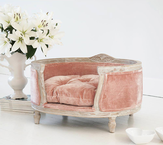 cute pet bed from The French Bedroom Company