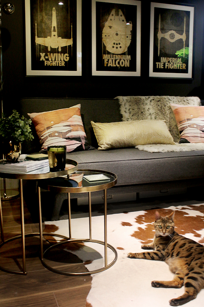 Man Cave to Glam Cave Reveal - Farrow & Ball Tanners Brown with eclectic boho glam design