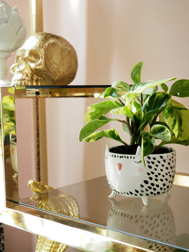 Brass and Glass Shelving Unit