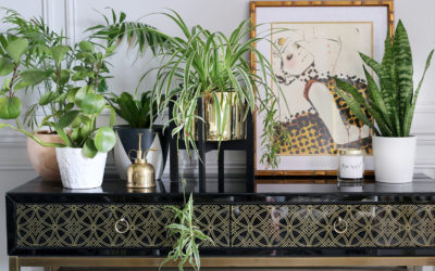 12 of the Best Raised Plant Stands