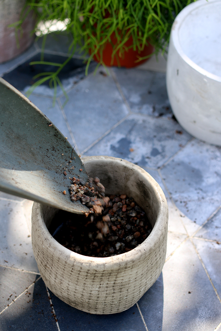Use Potting Grit on the bottom of houseplants to allow better drainage
