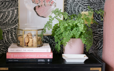 6 Secrets to Keeping Your Maidenhair Fern Alive