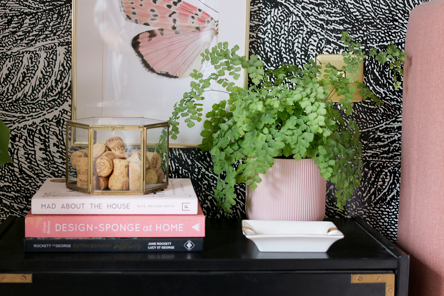 6 Secrets To Keeping Your Maidenhair Fern Alive Swoon Worthy