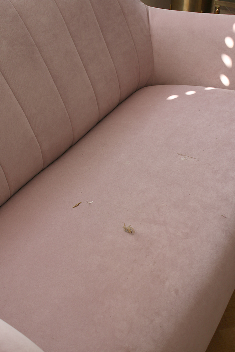 dirty velvet sofa before