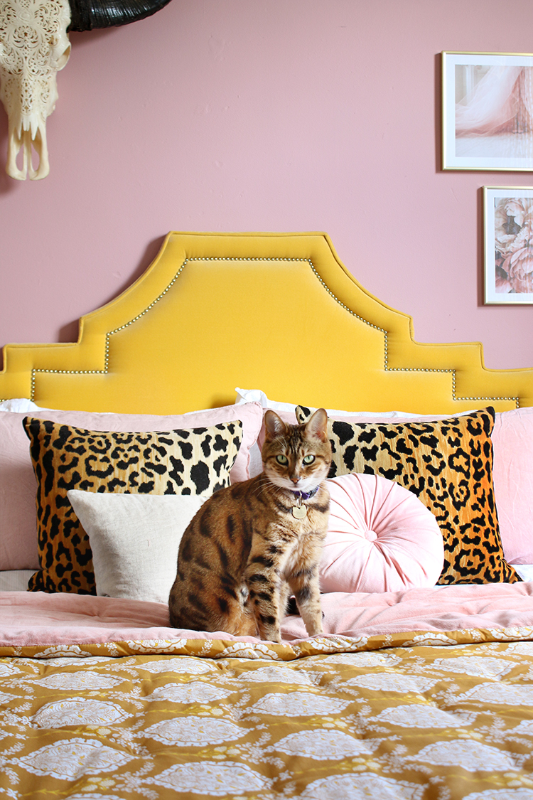 Bengal cat on bed with yellow velvet headboard and leopard print cushions