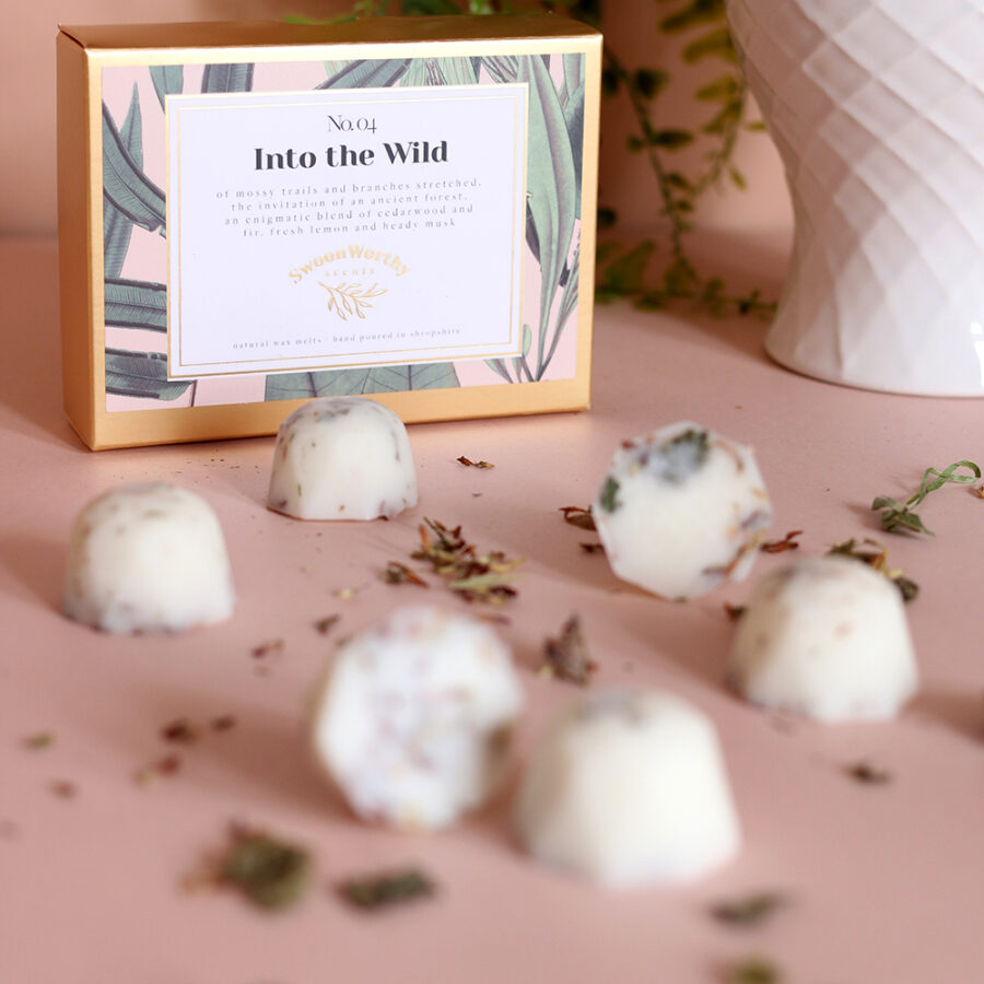 Into the Wild cedarwood vetiver and fir scented wax melts