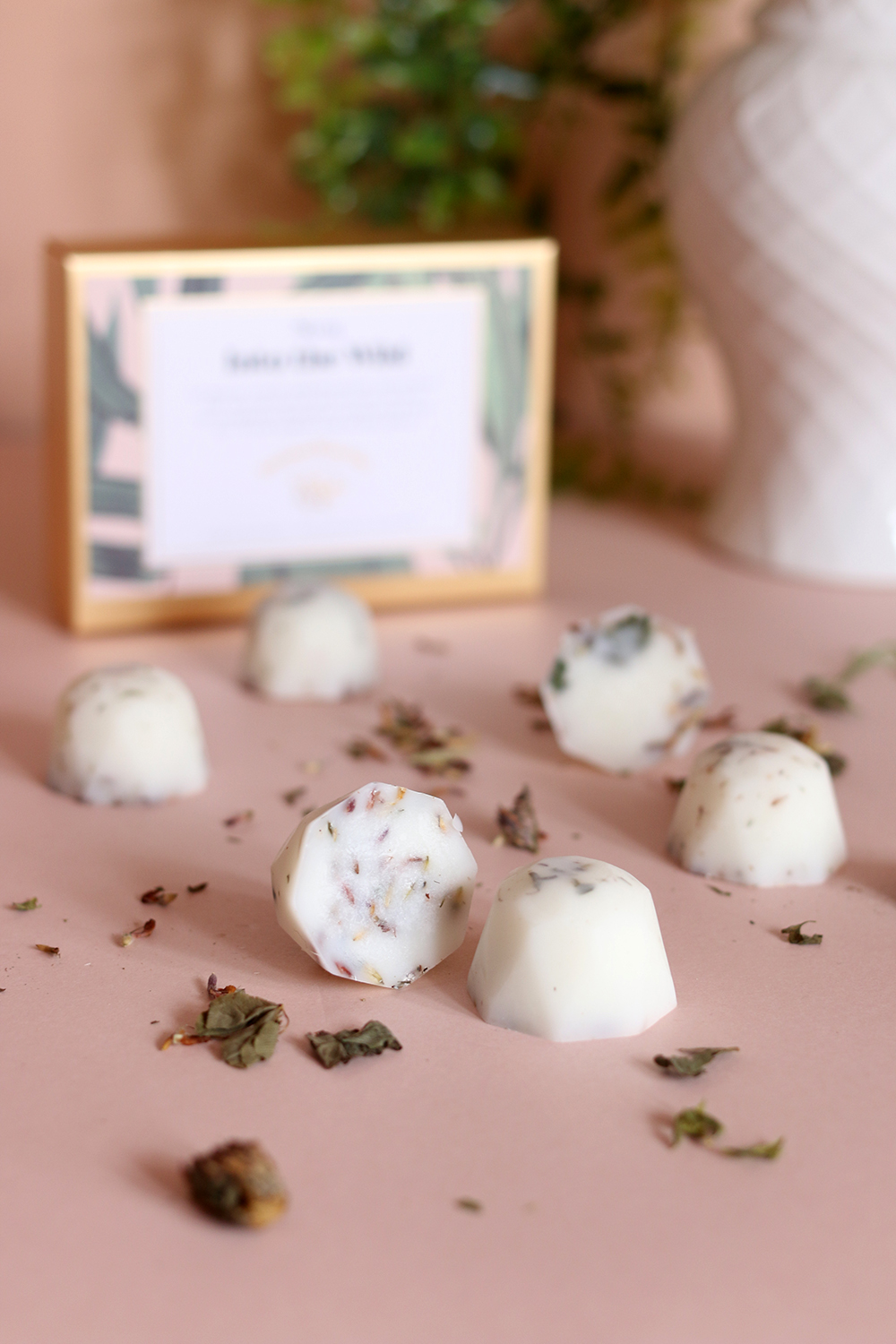 Into the Wild cedarwood vetiver and fir scented wax melts